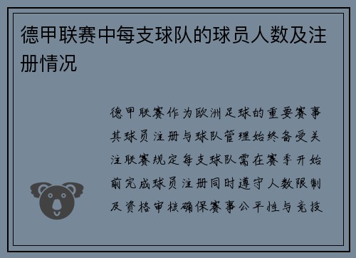 德甲联赛中每支球队的球员人数及注册情况