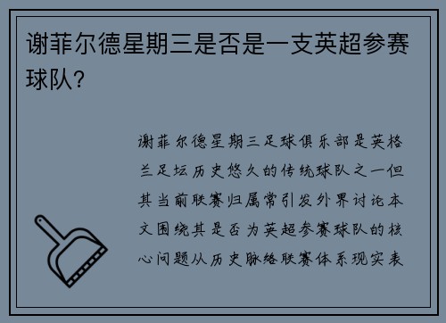 谢菲尔德星期三是否是一支英超参赛球队？